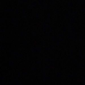 Meet your Posher, Izzy